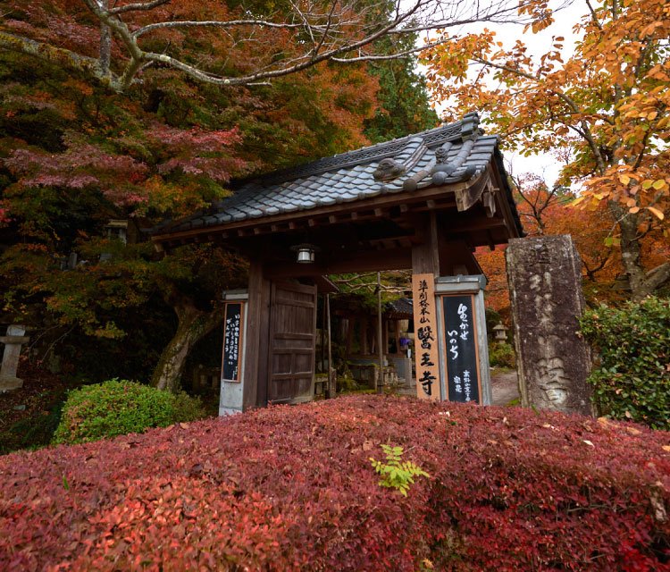 🏯 유리광산 의왕사 (루리코잔 이오지) 이미지 8